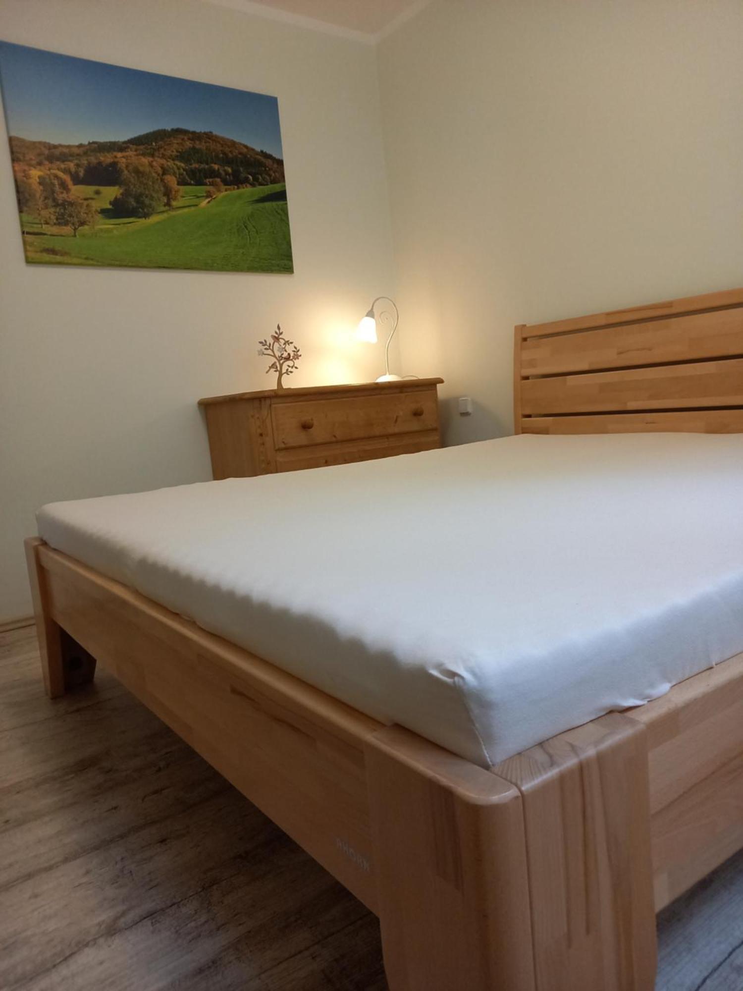 Apartmány Marie Jáchymov Exteriér fotografie
